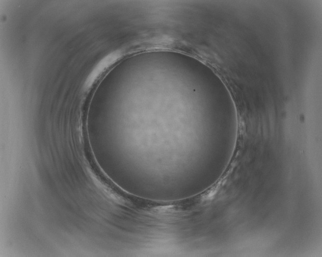 X0000068900054200605122110