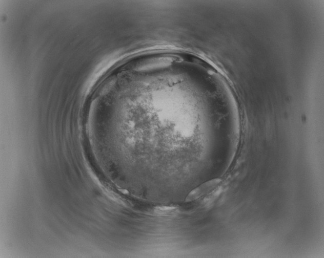 X0000068900055200605122110