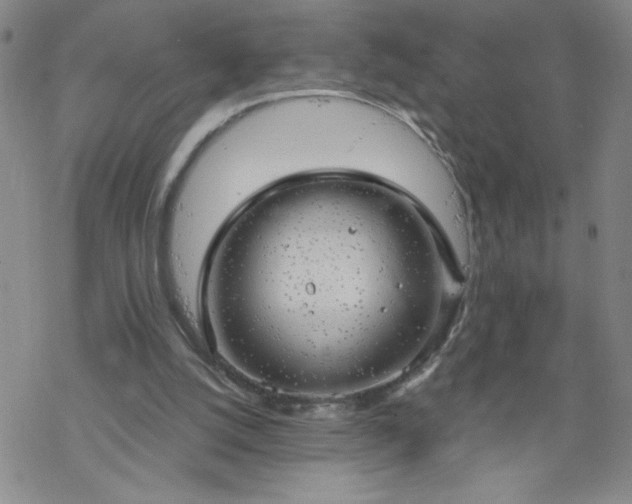 X0000068900056200605122110