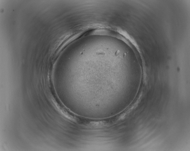 X0000068900057200605122110