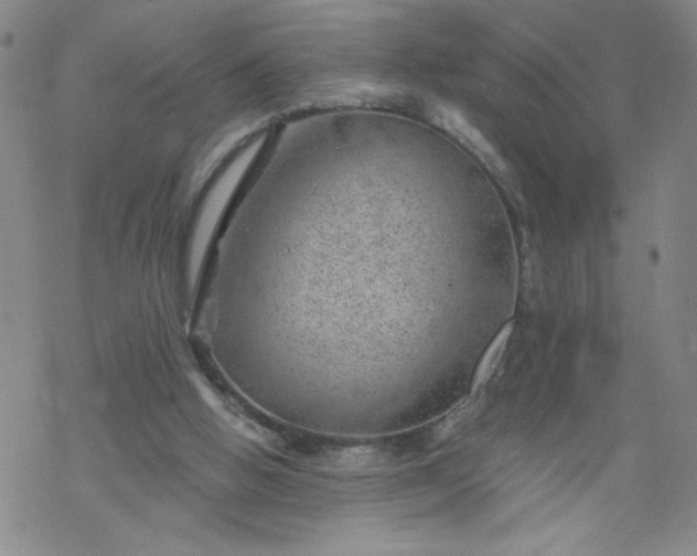 X0000068900058200605122110