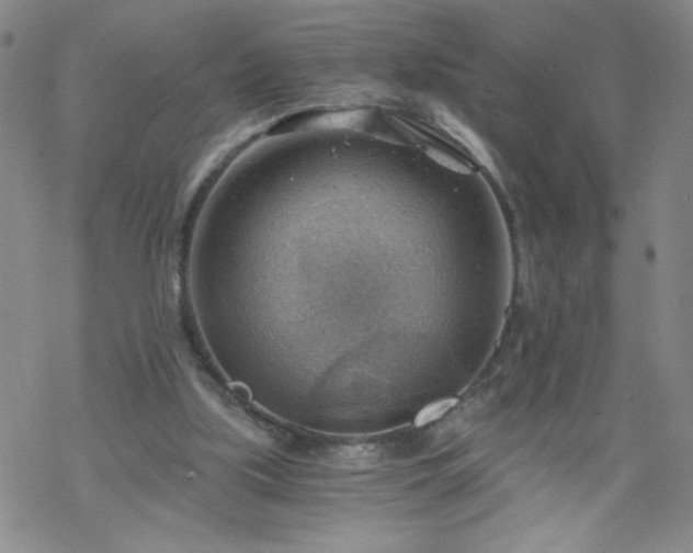 X0000068900059200605122110