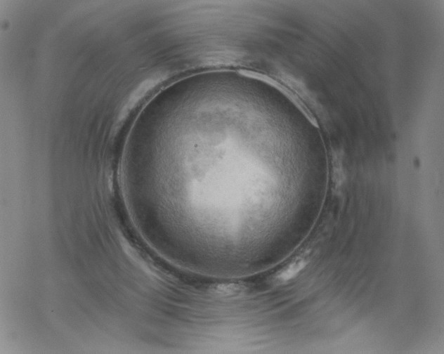 X0000068900060200605122110