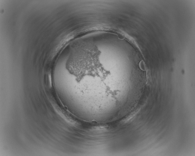 X0000068900061200605122110