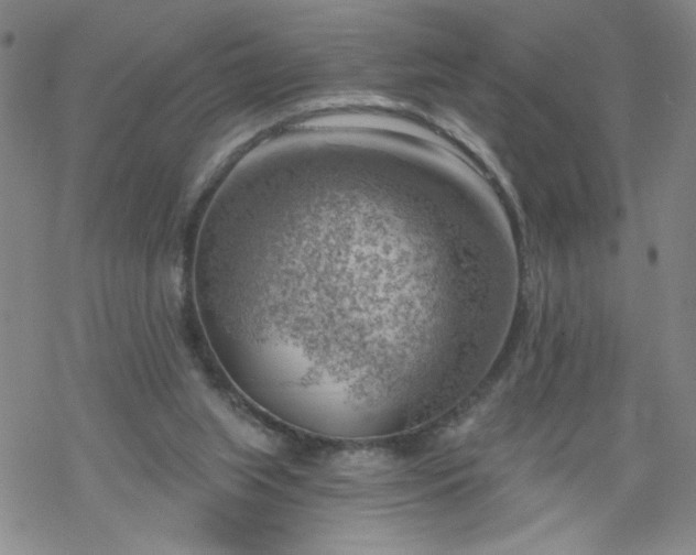 X0000068900063200605122110