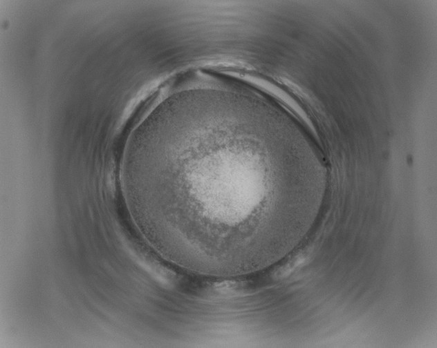 X0000068900064200605122110