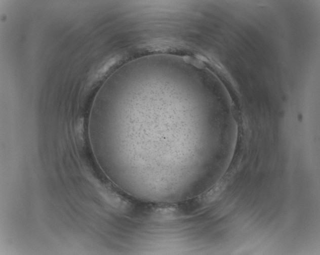 X0000068900066200605122110