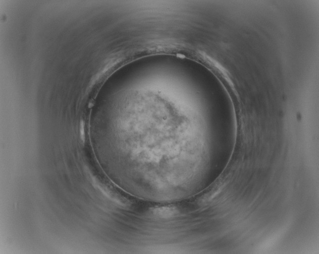 X0000068900067200605122110