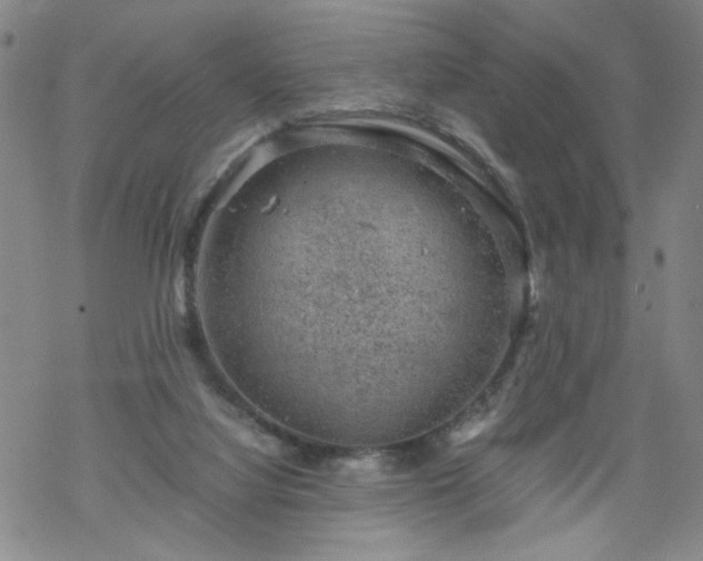 X0000068900068200605122110