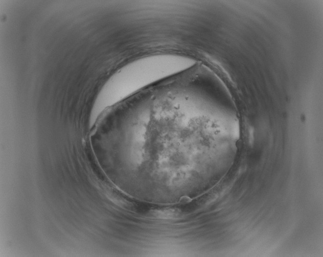 X0000068900069200605122110