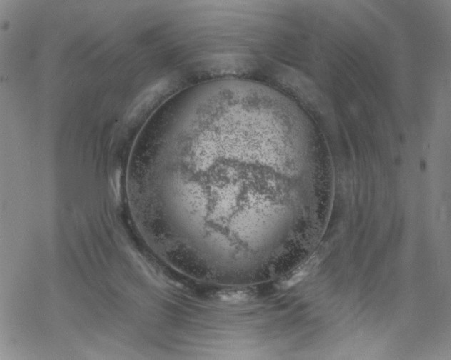 X0000068900070200605122110