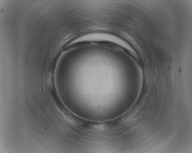 X0000068900071200605122110