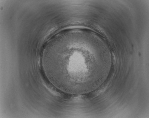 X0000068900072200605122110