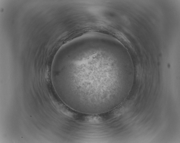 X0000068900073200605122110