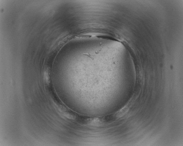 X0000068900074200605122110