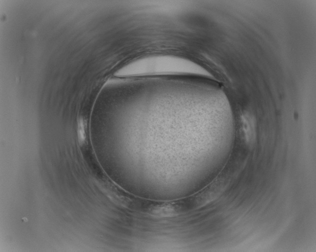 X0000068900075200605122110