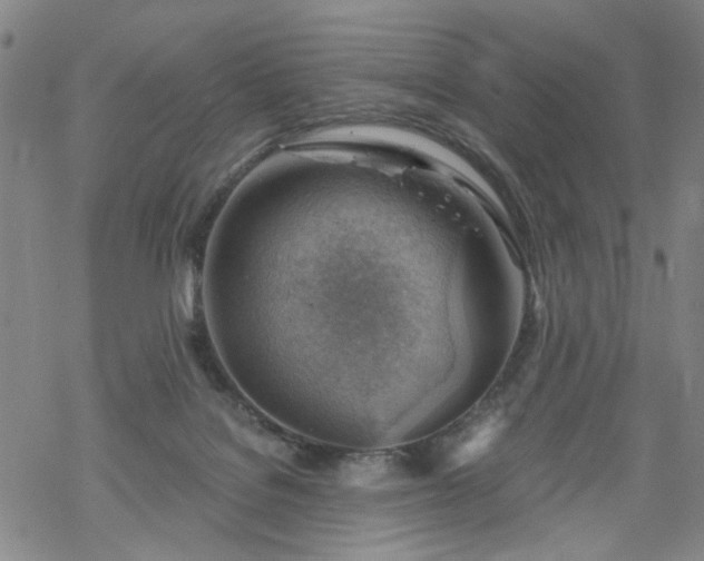 X0000068900076200605122110