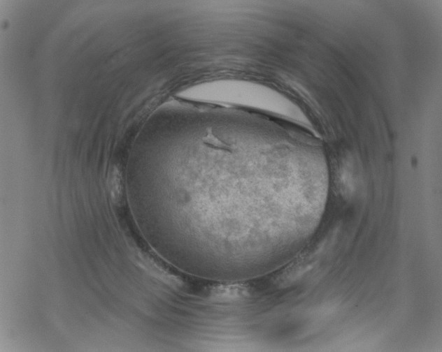 X0000068900077200605122110