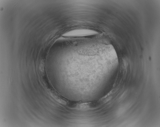 X0000068900078200605122110