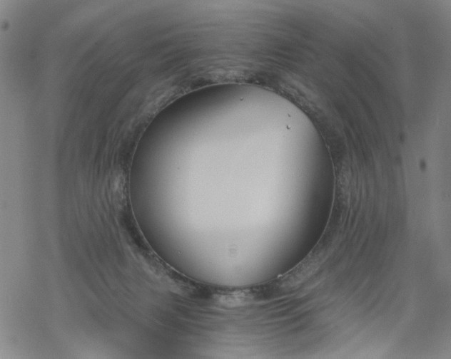 X0000068900079200605122111