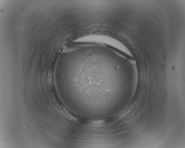 X0000068900081200605122111