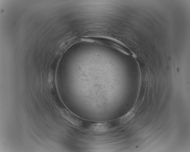 X0000068900082200605122111