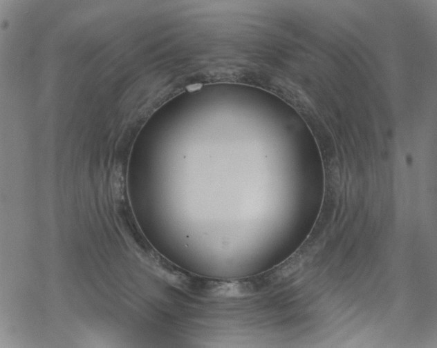 X0000068900083200605122111