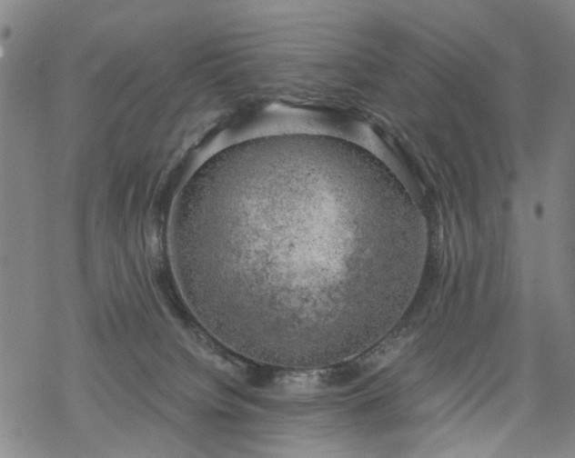 X0000068900084200605122111