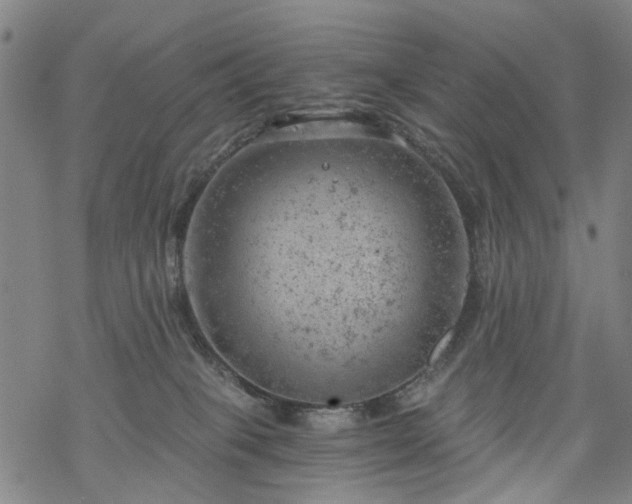 X0000068900085200605122111