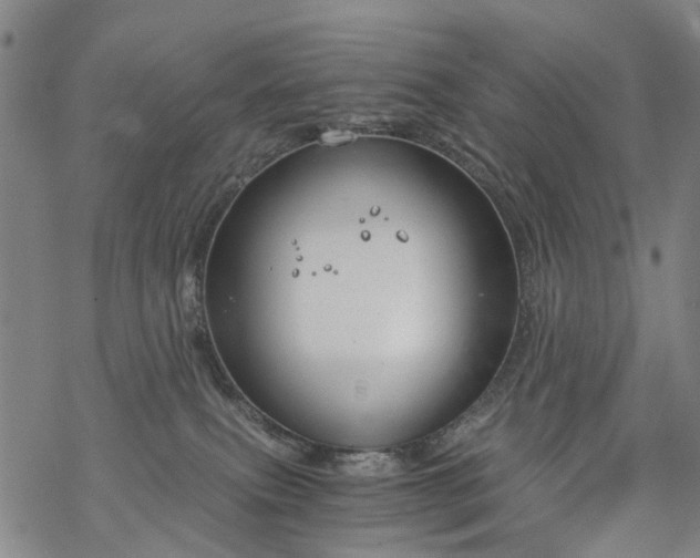 X0000068900087200605122111