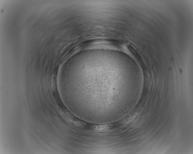 X0000068900088200605122111