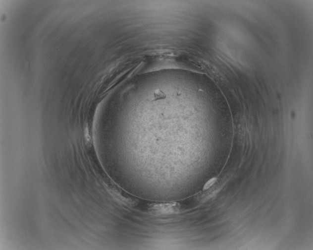 X0000068900089200605122111