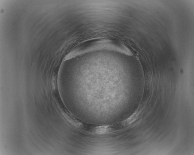 X0000068900090200605122111