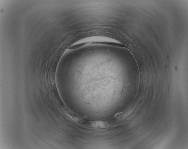 X0000068900091200605122111