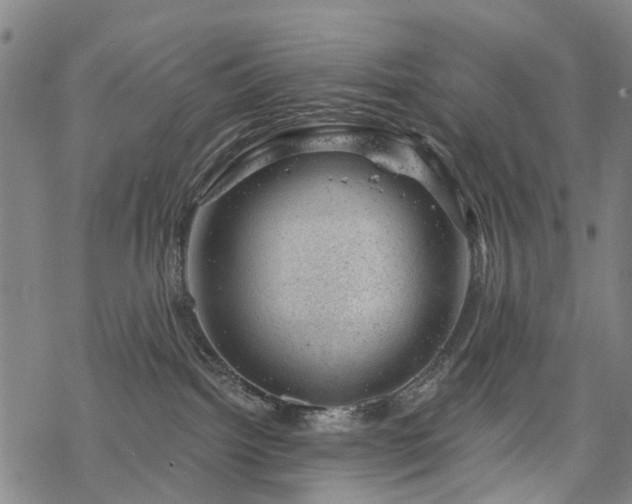 X0000068900092200605122111