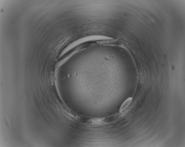 X0000068900093200605122111