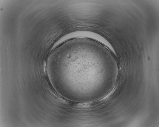 X0000068900094200605122111