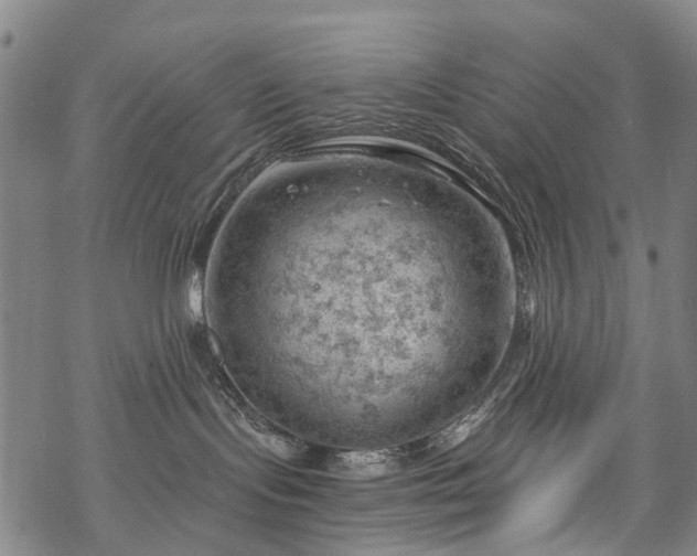 X0000068900095200605122111