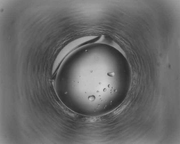 X0000068900096200605122111