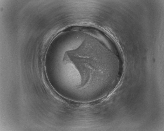 X0000068900097200605122110