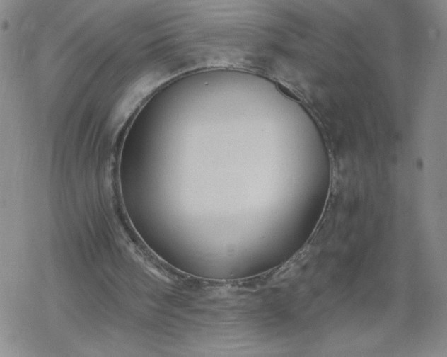 X0000068900098200605122110