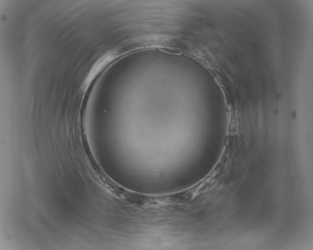 X0000068900099200605122110