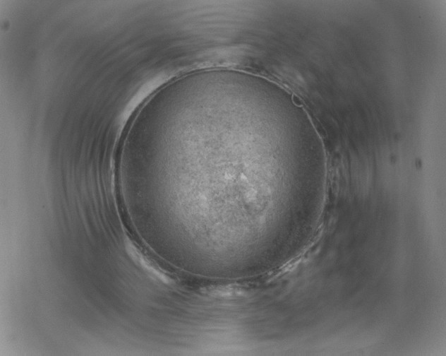 X0000068900100200605122110