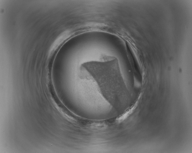 X0000068900101200605122110