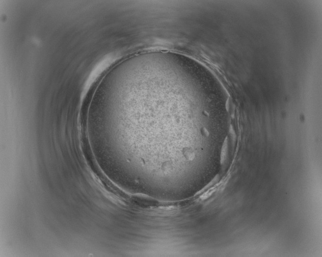 X0000068900102200605122110