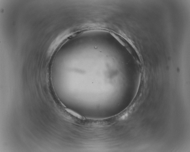 X0000068900103200605122110