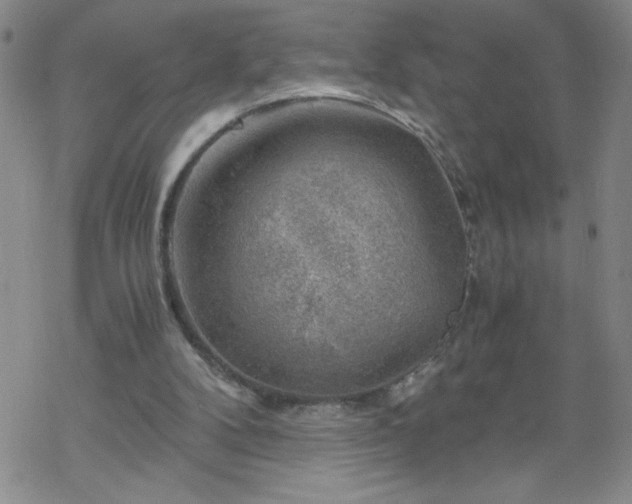 X0000068900104200605122110