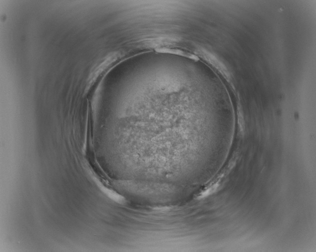 X0000068900105200605122110