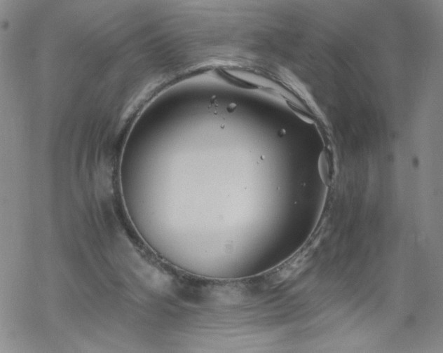 X0000068900106200605122110