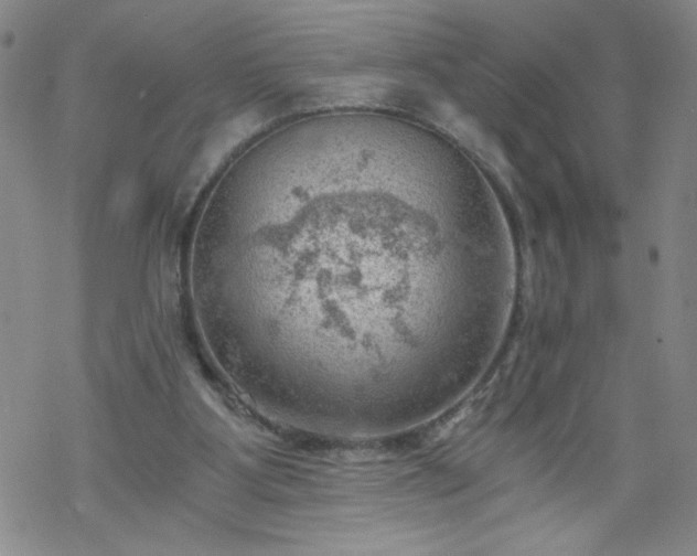 X0000068900107200605122110